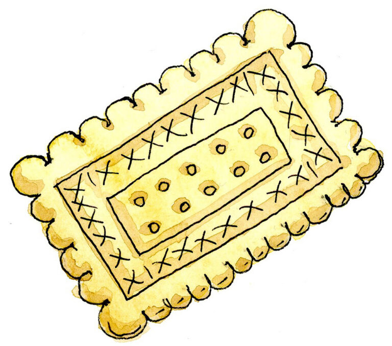 No Name Social Tea Biscuit