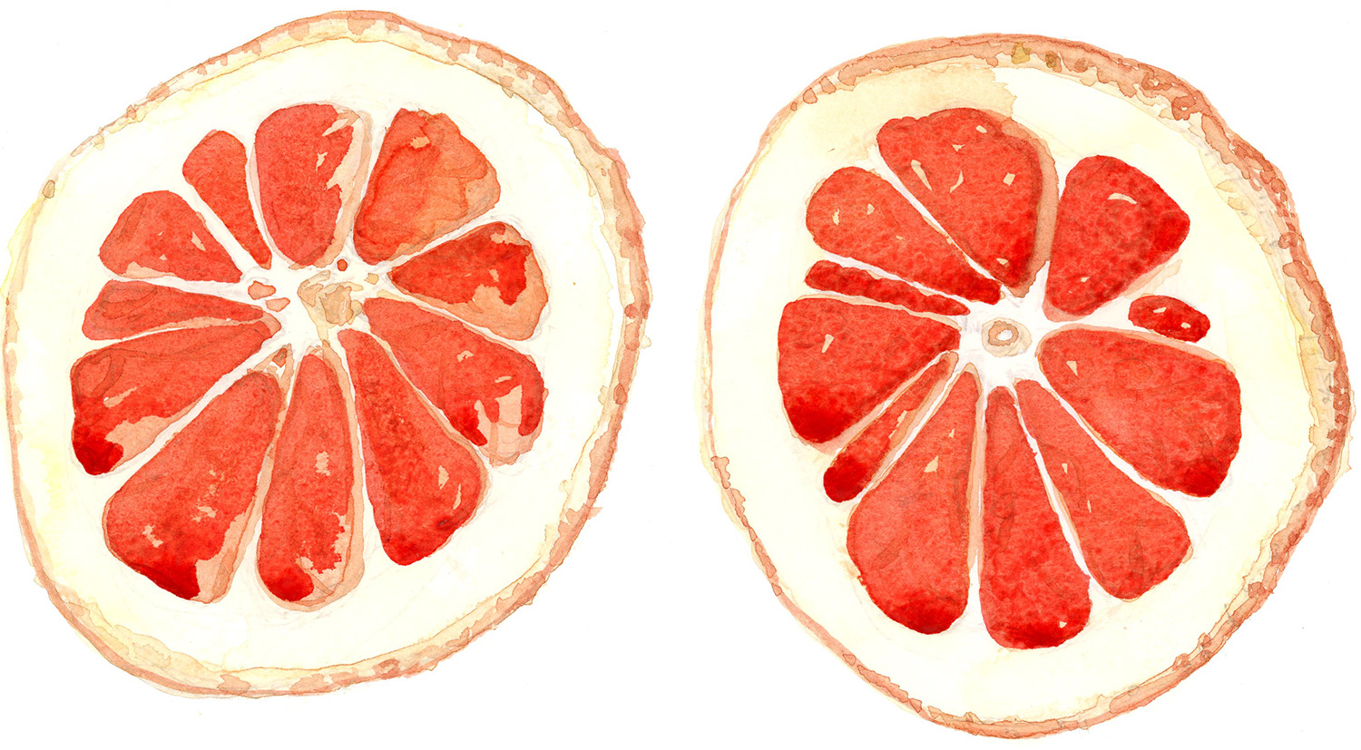 pink grapefruit slices