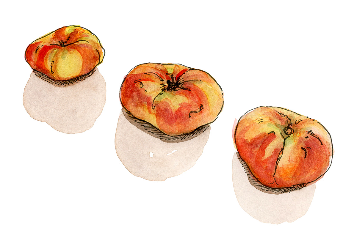 donut peaches