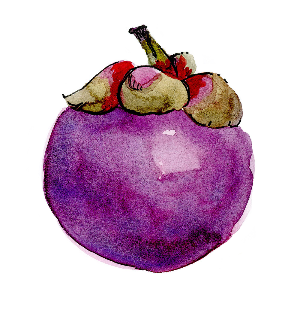 purple mangosteen