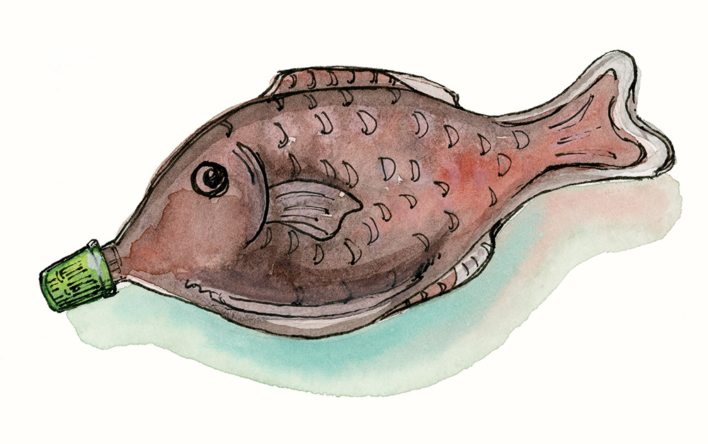 soy fish